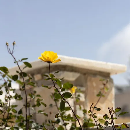 Villa Kaly Villa Agia Anna (Naxos)